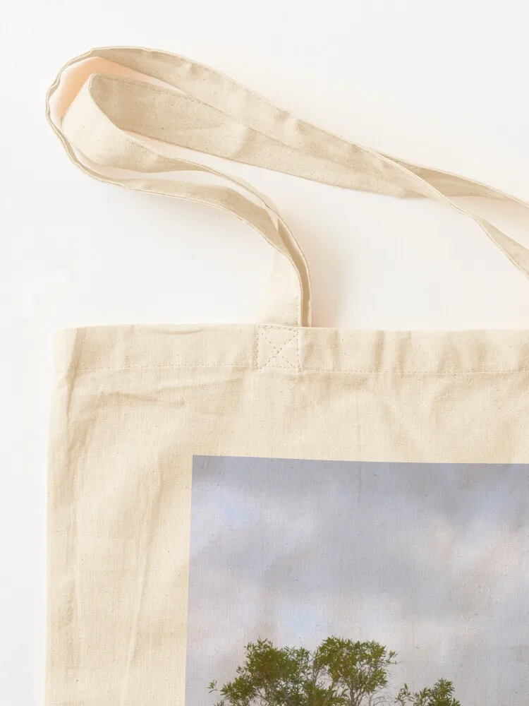 Boom aan Lake Mackenzie, Frase - Women'S Fashion Queensland recensie en prijs